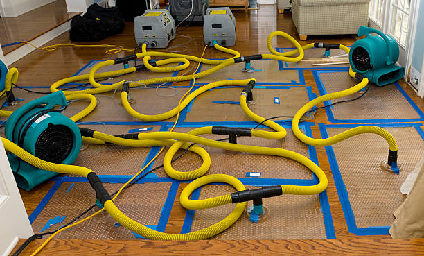 Professional Basement Flood Cleanup technician working in Savoy, TX